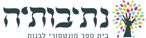 677fe48a3deab92af207176e_Untitled-14 copy-p-500